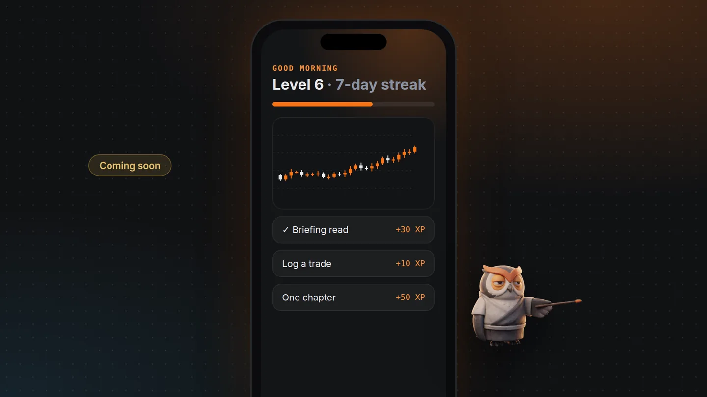A preview of the mobile app: level, streak and the day’s tasks